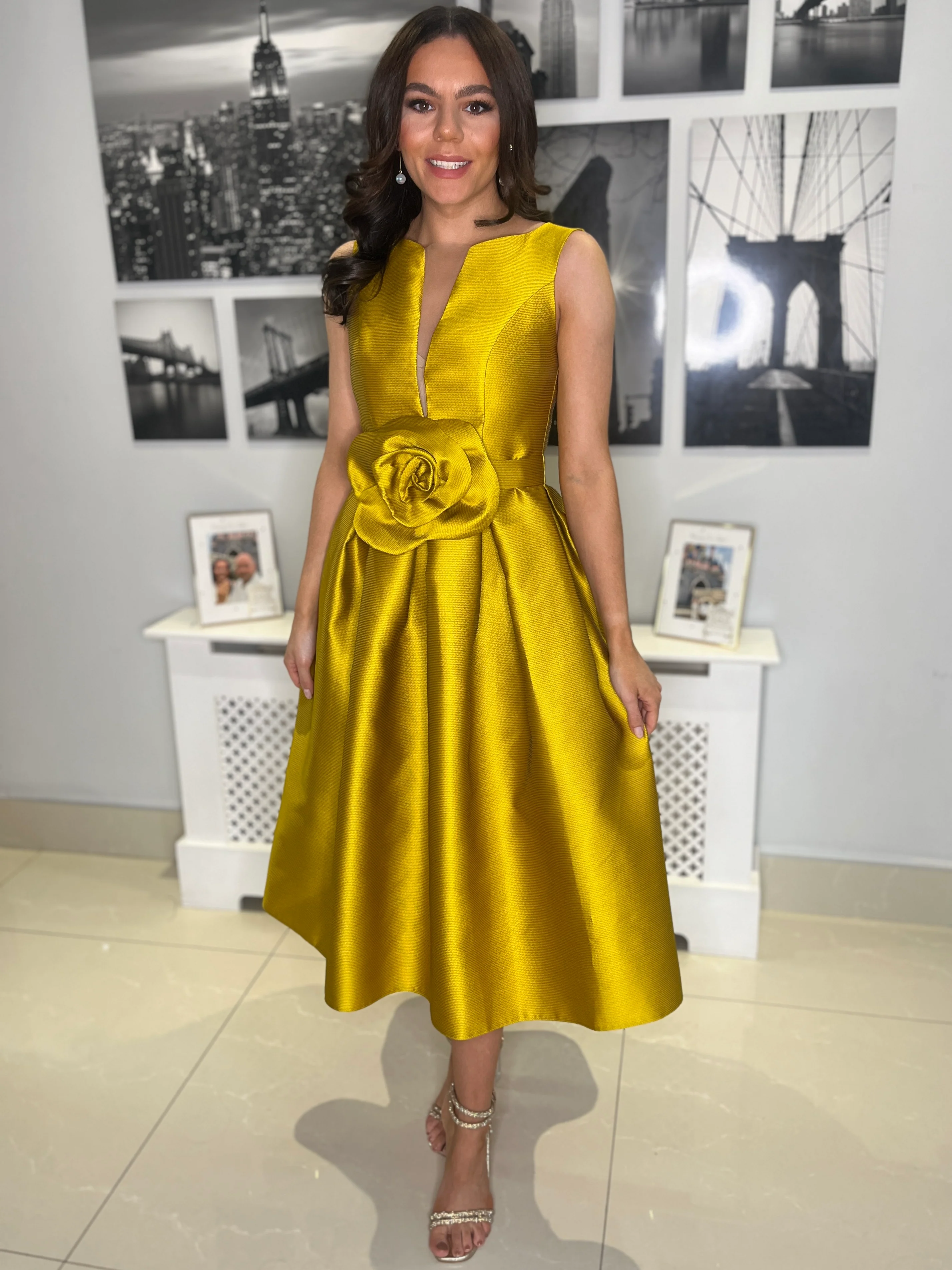 “Eve” Dress In Mustard - Image 3